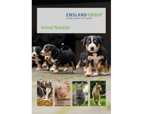Animal nutrition