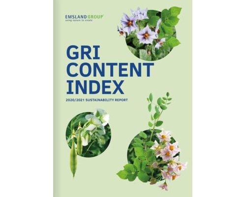 GRI Content Index 2020/21